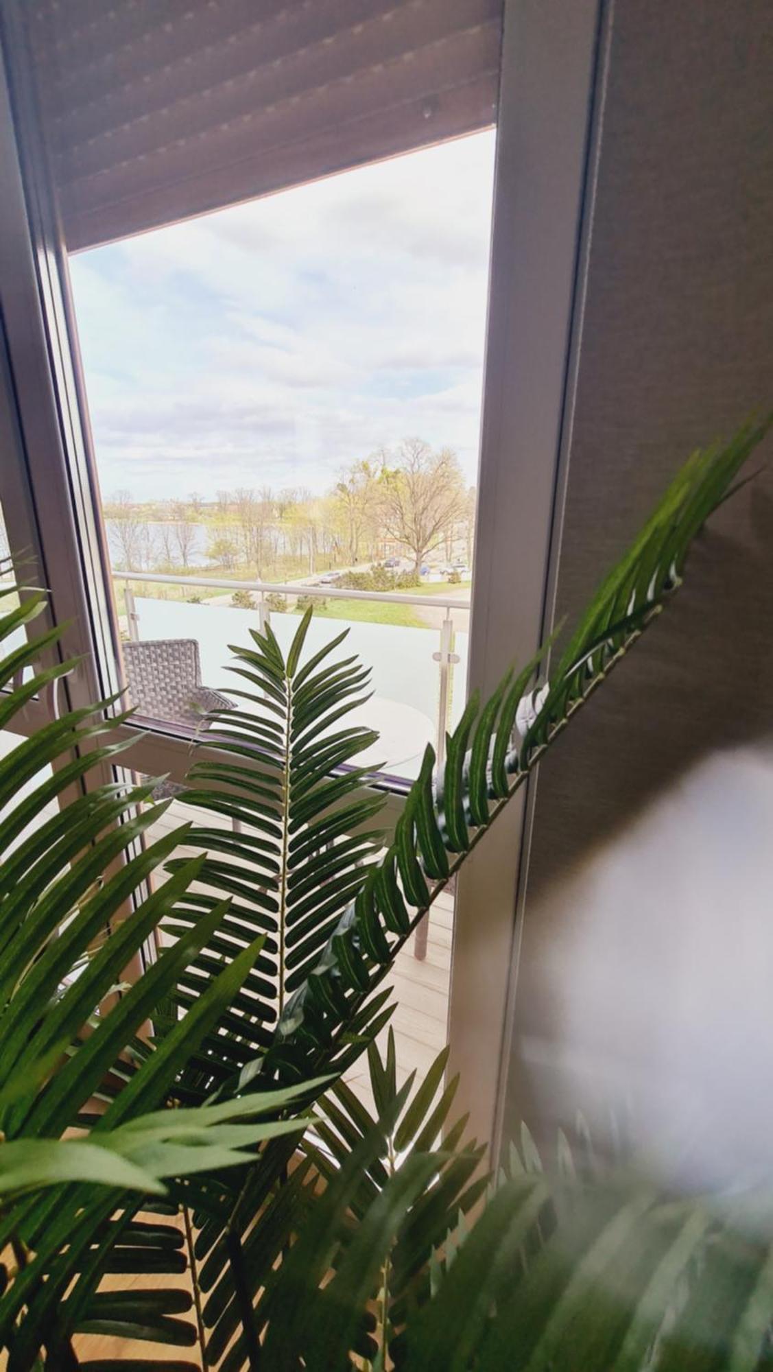 Apartament 31 Z Sauna Rowery, Spacery W Dolinie Baryczy - 5D Apartamenty ميليتش المظهر الخارجي الصورة